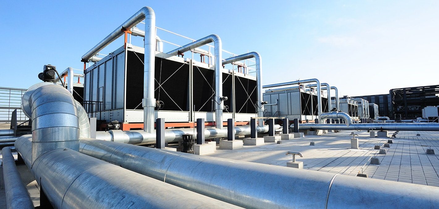 asset-gallery-veridis-plant-outdoors